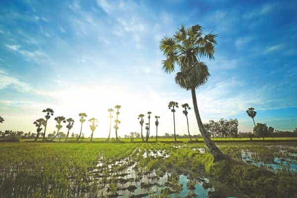  An Giang - điểm hẹn miền Tây 