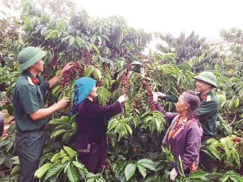 Binh đoàn 16 xứng đáng là đơn vị chủ lực trong xây dựng các khu kinh tế - quốc phòng