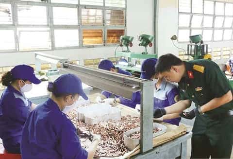  Một phân xưởng tiêu biểu 