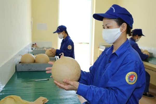  Tết này lại có pháo hoa 
