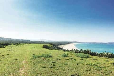 Xứ sở hoa vàng trên cỏ xanh