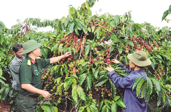 Xây dựng, phát triển các khu kinh tế - quốc phòng đáp ứng yêu cầu nhiệm vụ trong tình hình mới