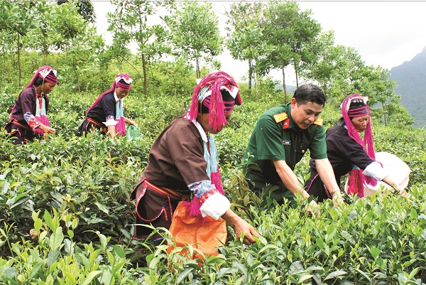Quân đội tiếp tục thực hiện hiệu quả nhiệm vụ lao động sản xuất, xây dựng kinh tế kết hợp với quốc phòng