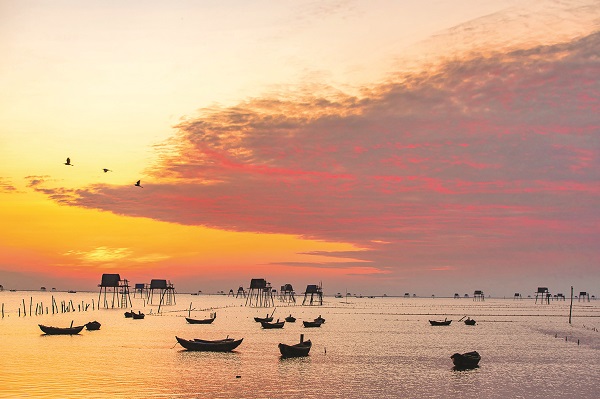 Về Tiền Hải nghe chuyện, ngắm cây…