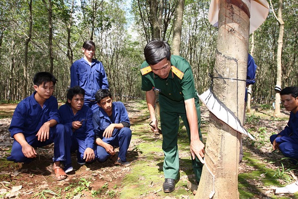 Phản bác luận điệu phủ nhận “đội quân lao động sản xuất”