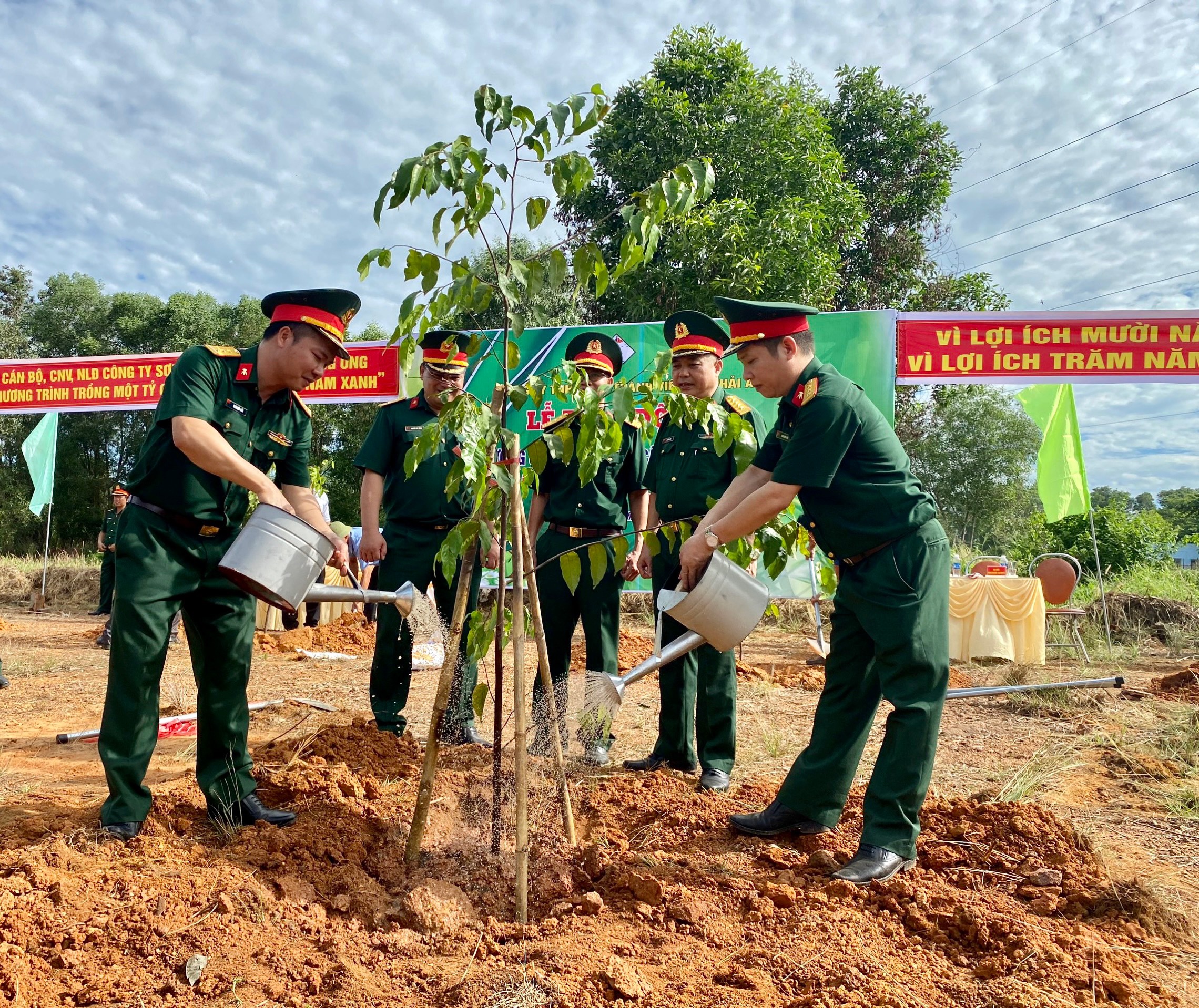 Công ty Sơn Hải Âu: Trồng mới 300 cây sao đen