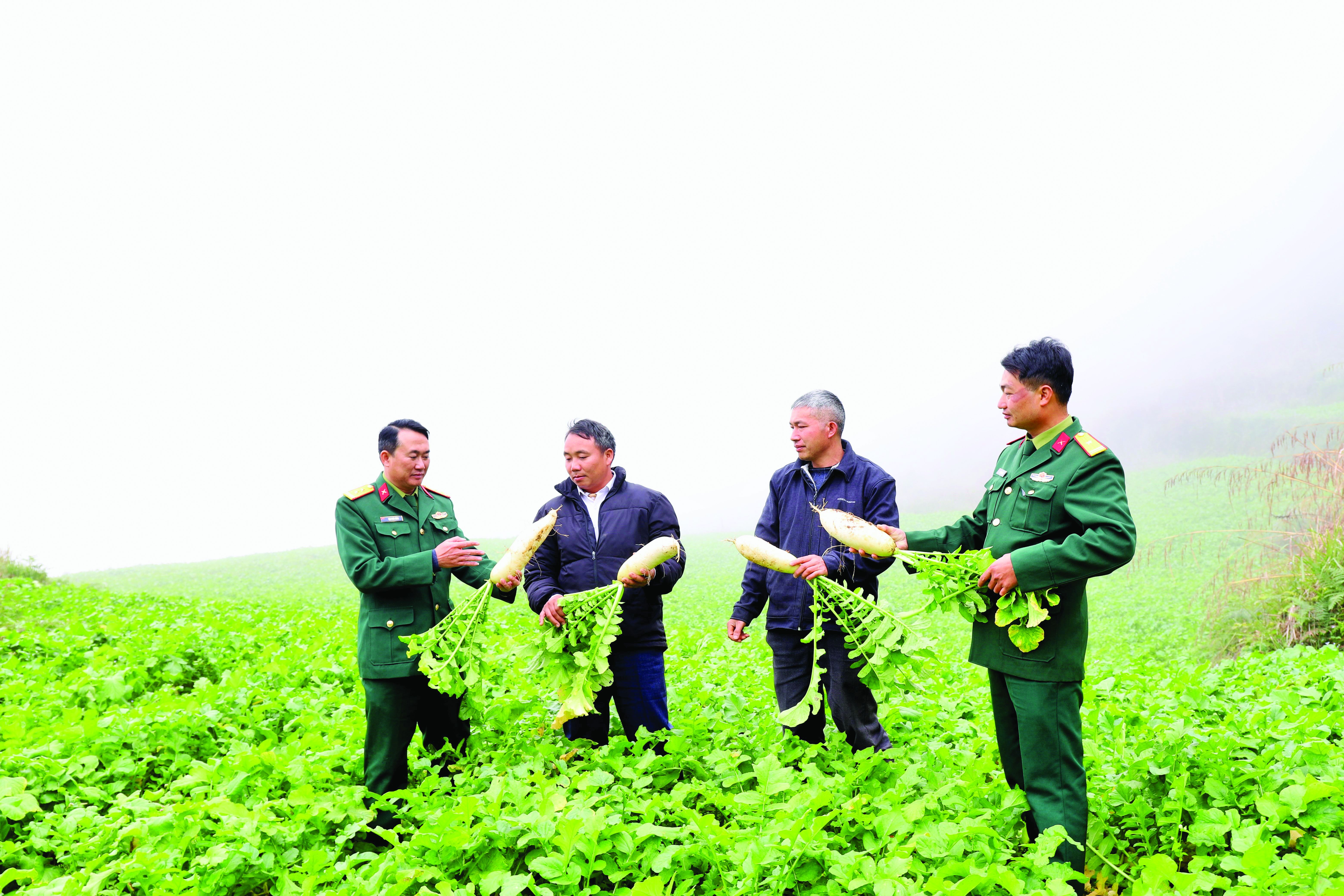 Đoàn Kinh tế - Quốc phòng 313: Giúp dân thoát nghèo nơi vùng biên Hà Giang
