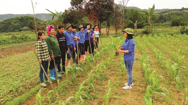Dấu ấn trí thức trẻ tình nguyện trên miền biên cương Đông Bắc
