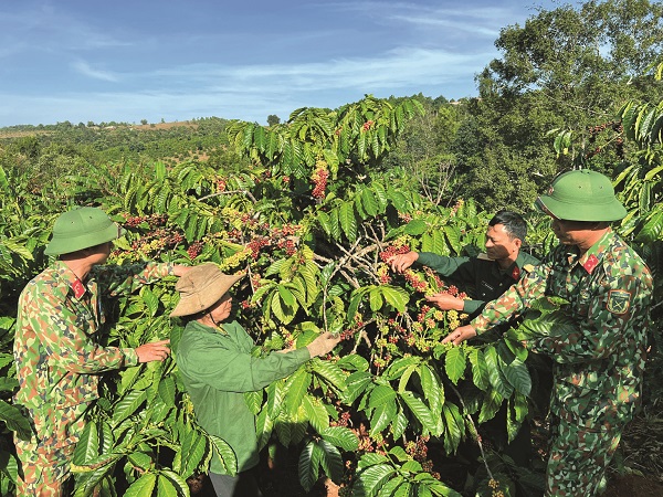 Binh đoàn 16: Xây dựng "phên giậu xanh" nơi biên cương Tổ quốc